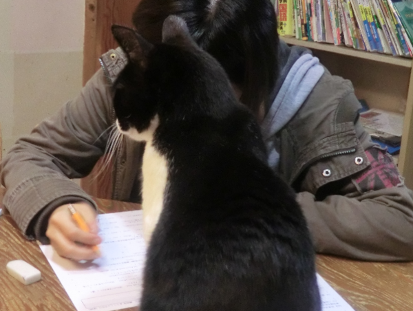 A17c9aaa61e80a1bf71d0d850af4e5baa9800bbd