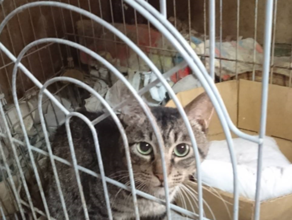 A17c9aaa61e80a1bf71d0d850af4e5baa9800bbd