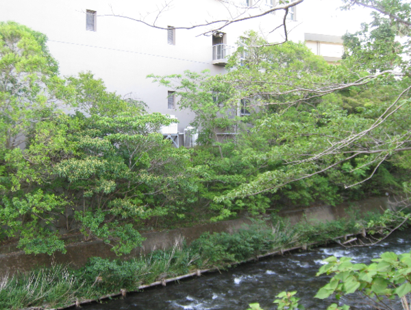 A17c9aaa61e80a1bf71d0d850af4e5baa9800bbd