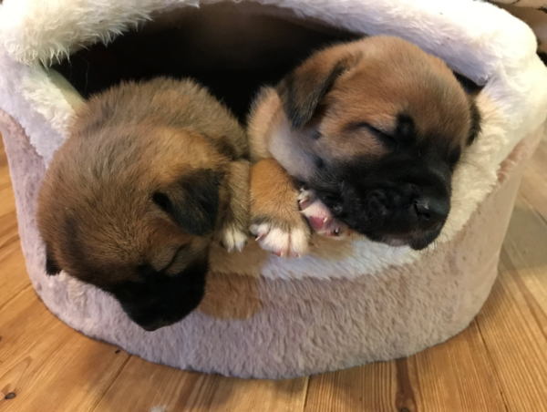 A17c9aaa61e80a1bf71d0d850af4e5baa9800bbd