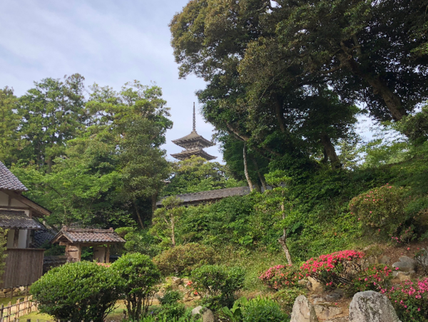 A17c9aaa61e80a1bf71d0d850af4e5baa9800bbd