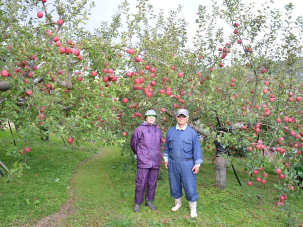 A17c9aaa61e80a1bf71d0d850af4e5baa9800bbd