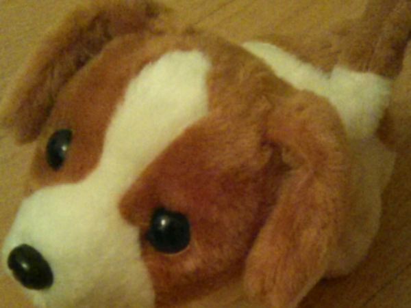 A17c9aaa61e80a1bf71d0d850af4e5baa9800bbd