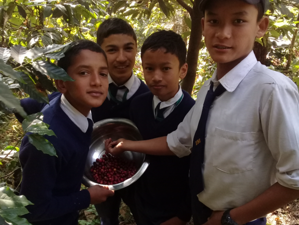 A17c9aaa61e80a1bf71d0d850af4e5baa9800bbd