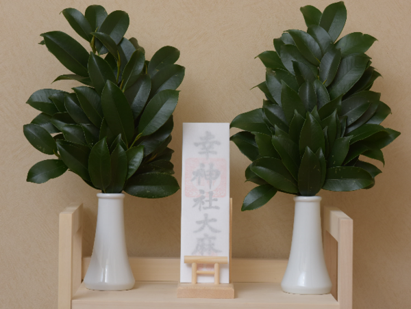 A17c9aaa61e80a1bf71d0d850af4e5baa9800bbd