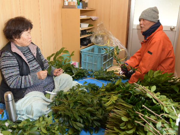 A17c9aaa61e80a1bf71d0d850af4e5baa9800bbd