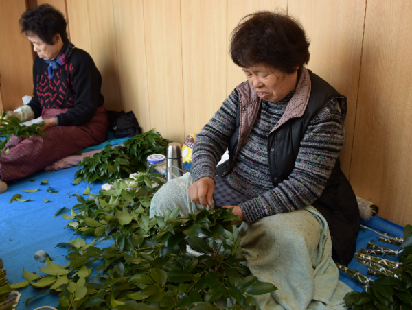 A17c9aaa61e80a1bf71d0d850af4e5baa9800bbd