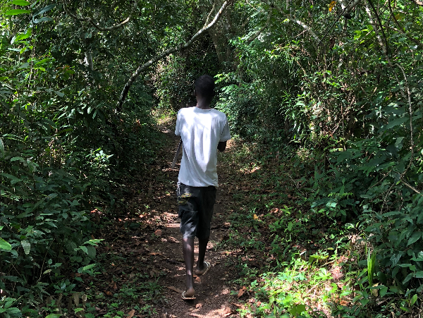 A17c9aaa61e80a1bf71d0d850af4e5baa9800bbd