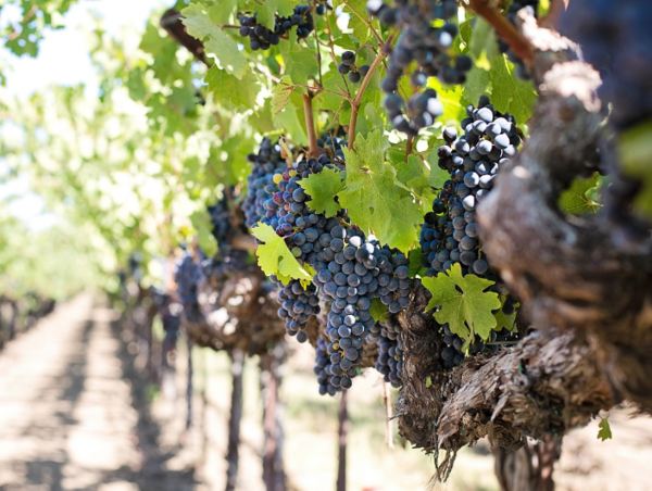 A17c9aaa61e80a1bf71d0d850af4e5baa9800bbd