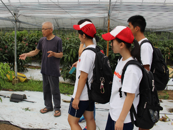 A17c9aaa61e80a1bf71d0d850af4e5baa9800bbd