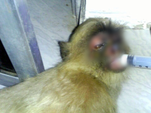 A17c9aaa61e80a1bf71d0d850af4e5baa9800bbd