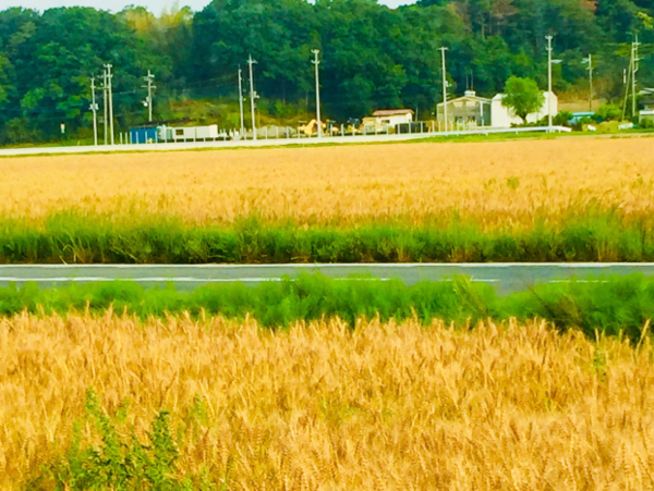 A17c9aaa61e80a1bf71d0d850af4e5baa9800bbd