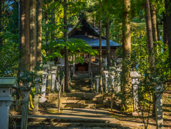 A17c9aaa61e80a1bf71d0d850af4e5baa9800bbd