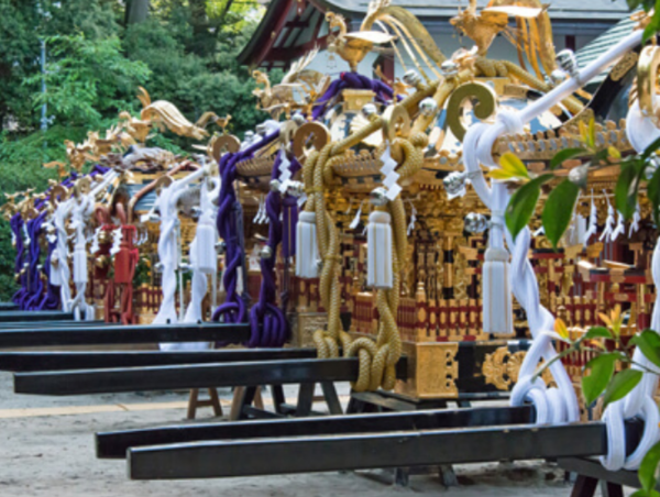 A17c9aaa61e80a1bf71d0d850af4e5baa9800bbd