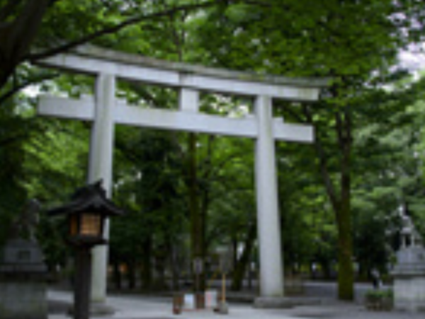 A17c9aaa61e80a1bf71d0d850af4e5baa9800bbd