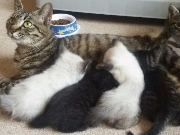 A17c9aaa61e80a1bf71d0d850af4e5baa9800bbd