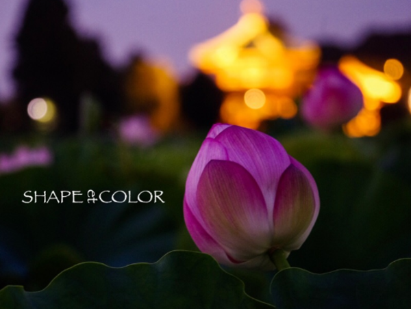 A17c9aaa61e80a1bf71d0d850af4e5baa9800bbd