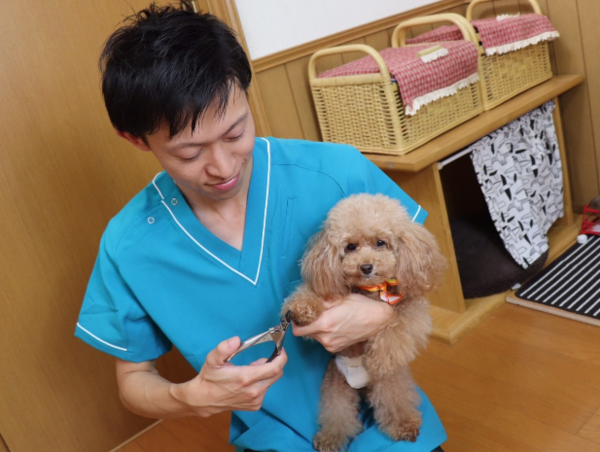 A17c9aaa61e80a1bf71d0d850af4e5baa9800bbd