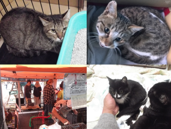 A17c9aaa61e80a1bf71d0d850af4e5baa9800bbd