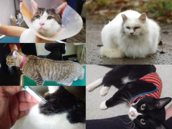 A17c9aaa61e80a1bf71d0d850af4e5baa9800bbd