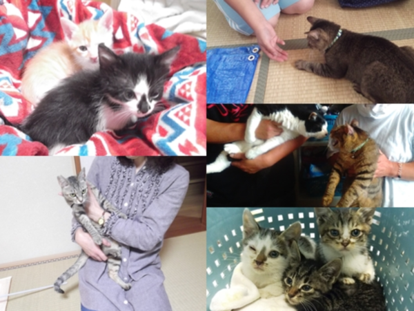 A17c9aaa61e80a1bf71d0d850af4e5baa9800bbd