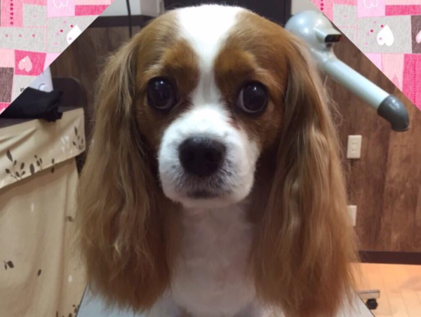 A17c9aaa61e80a1bf71d0d850af4e5baa9800bbd