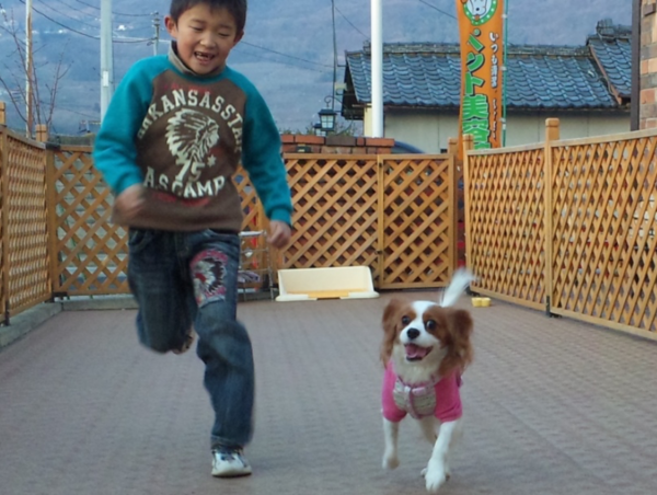 A17c9aaa61e80a1bf71d0d850af4e5baa9800bbd