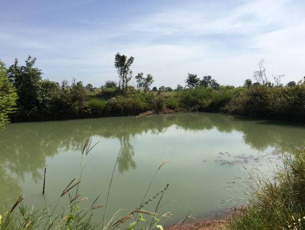 A17c9aaa61e80a1bf71d0d850af4e5baa9800bbd