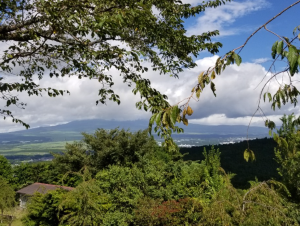 A17c9aaa61e80a1bf71d0d850af4e5baa9800bbd