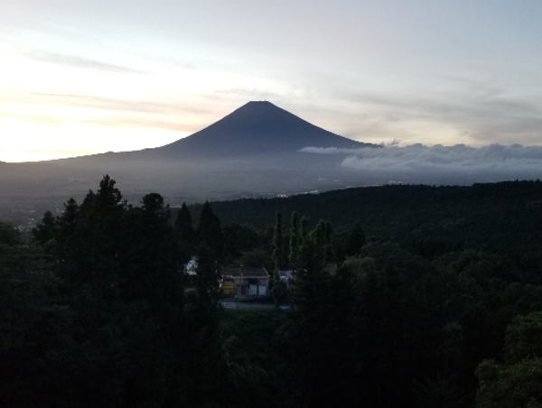 A17c9aaa61e80a1bf71d0d850af4e5baa9800bbd