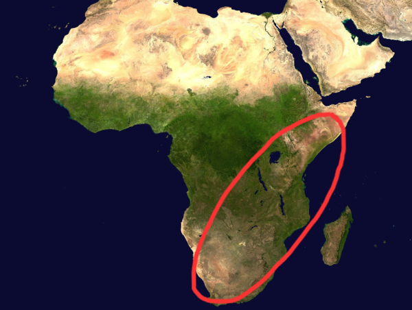 A17c9aaa61e80a1bf71d0d850af4e5baa9800bbd