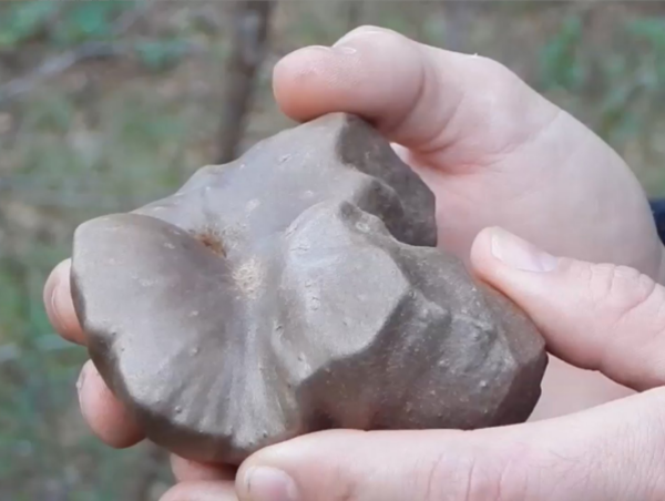 A17c9aaa61e80a1bf71d0d850af4e5baa9800bbd