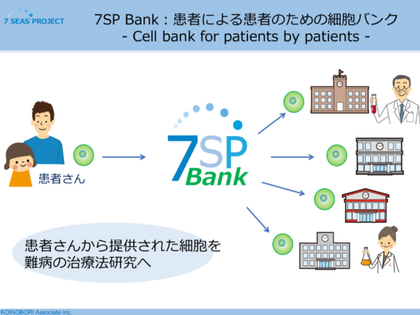 A17c9aaa61e80a1bf71d0d850af4e5baa9800bbd