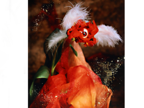 A17c9aaa61e80a1bf71d0d850af4e5baa9800bbd