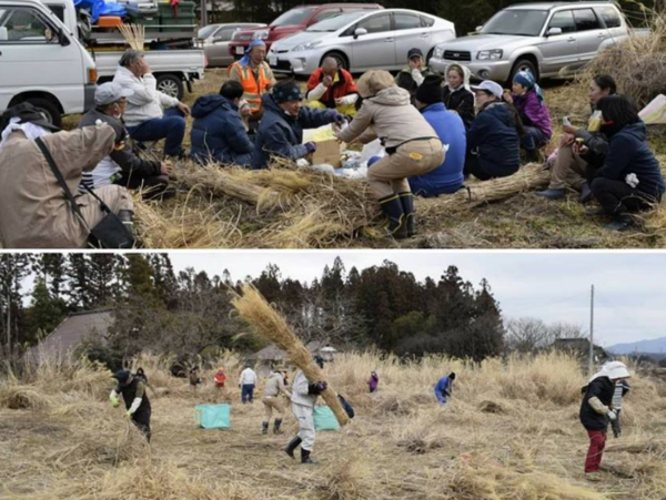 A17c9aaa61e80a1bf71d0d850af4e5baa9800bbd