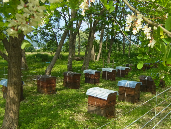 A17c9aaa61e80a1bf71d0d850af4e5baa9800bbd