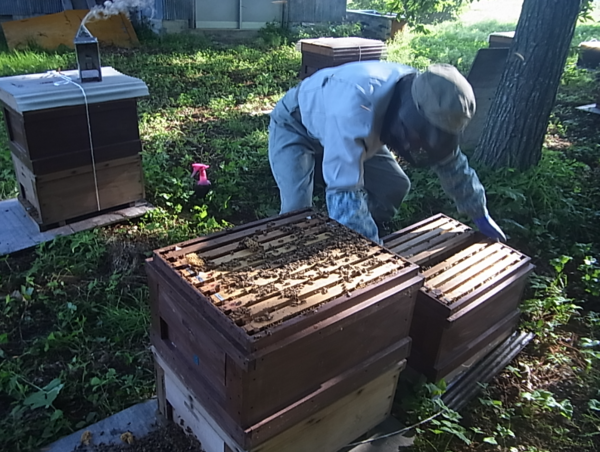 A17c9aaa61e80a1bf71d0d850af4e5baa9800bbd