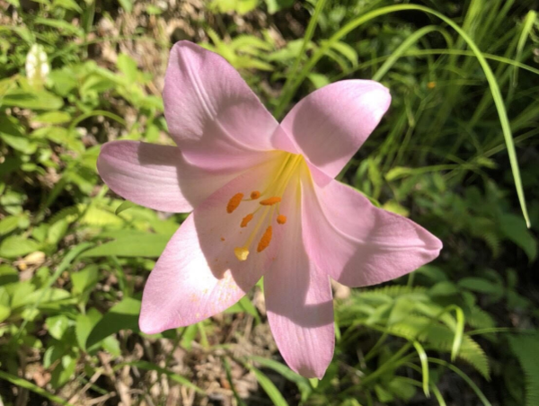 A17c9aaa61e80a1bf71d0d850af4e5baa9800bbd