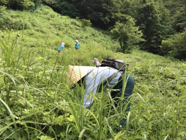 A17c9aaa61e80a1bf71d0d850af4e5baa9800bbd