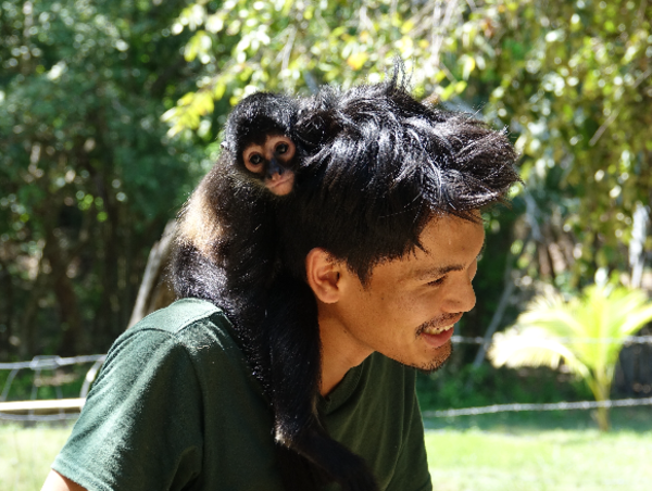 A17c9aaa61e80a1bf71d0d850af4e5baa9800bbd