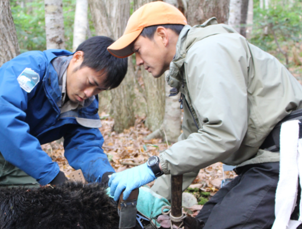 A17c9aaa61e80a1bf71d0d850af4e5baa9800bbd