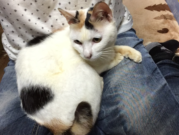 A17c9aaa61e80a1bf71d0d850af4e5baa9800bbd