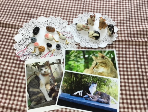 A17c9aaa61e80a1bf71d0d850af4e5baa9800bbd