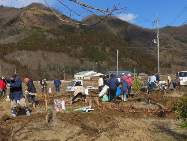 A17c9aaa61e80a1bf71d0d850af4e5baa9800bbd