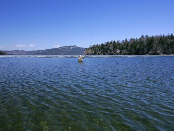 A17c9aaa61e80a1bf71d0d850af4e5baa9800bbd