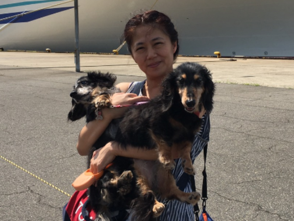 A17c9aaa61e80a1bf71d0d850af4e5baa9800bbd