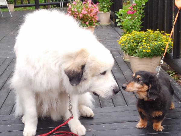 A17c9aaa61e80a1bf71d0d850af4e5baa9800bbd