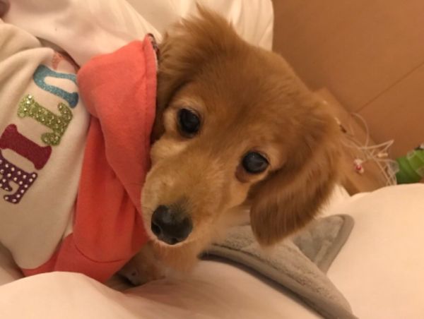 A17c9aaa61e80a1bf71d0d850af4e5baa9800bbd