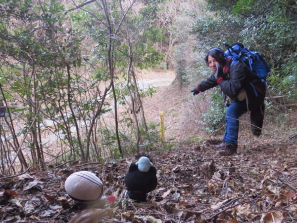 A17c9aaa61e80a1bf71d0d850af4e5baa9800bbd