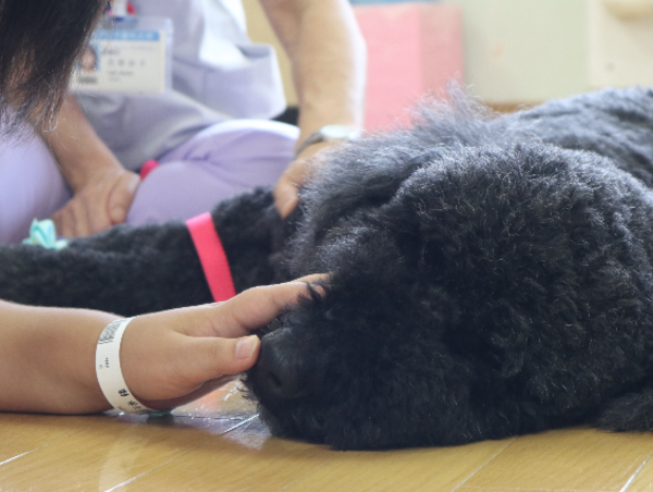 A17c9aaa61e80a1bf71d0d850af4e5baa9800bbd